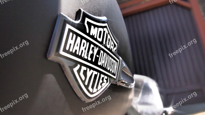 Harley Davidson Logo Motocycle Free Photos