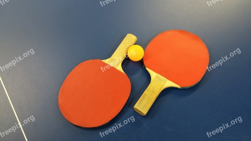 Ping Pong Table Tennis Sport Free Photos