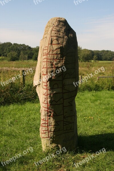 Viking Rune Stone Shark Taboo Museum Free Photos