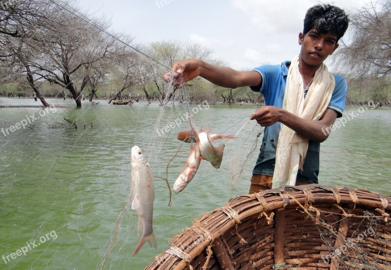 Fish Netted Coracle Fishing Wetland