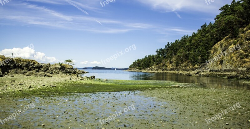 Clams Flats Sea Beach Mud