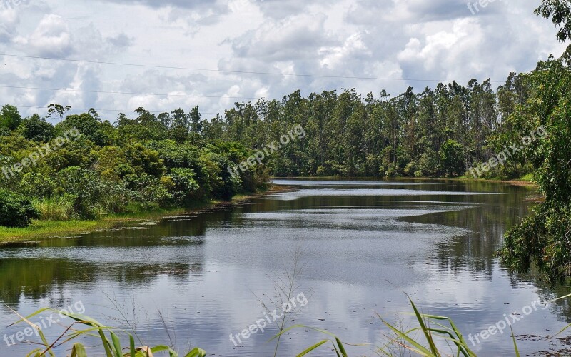 Landscape Lake Nature Water Tree