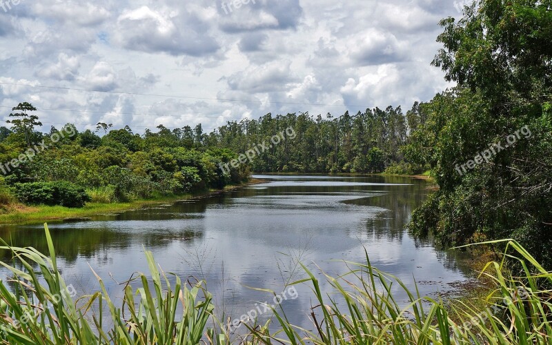 Landscape Lake Nature Water Tree