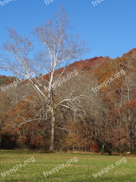 Park Autumn Mountains Nature Landscape