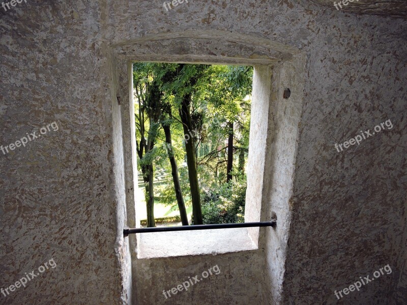 Window Green Tree Stone Wall