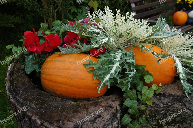 Pumpkin Garden Autumn Autumn Decoration Garden Decoration