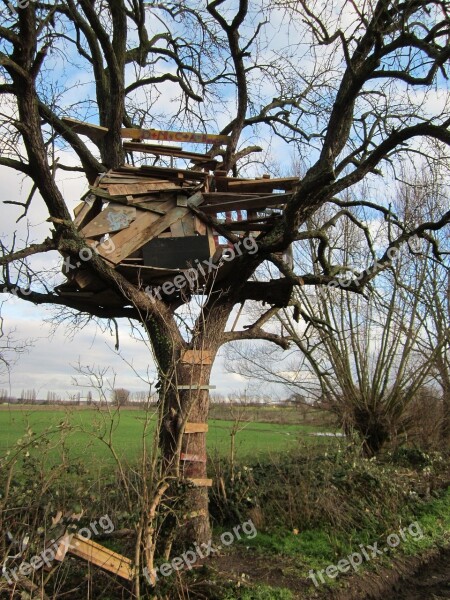 Tree House Deteriorated Old Abandoned Tree