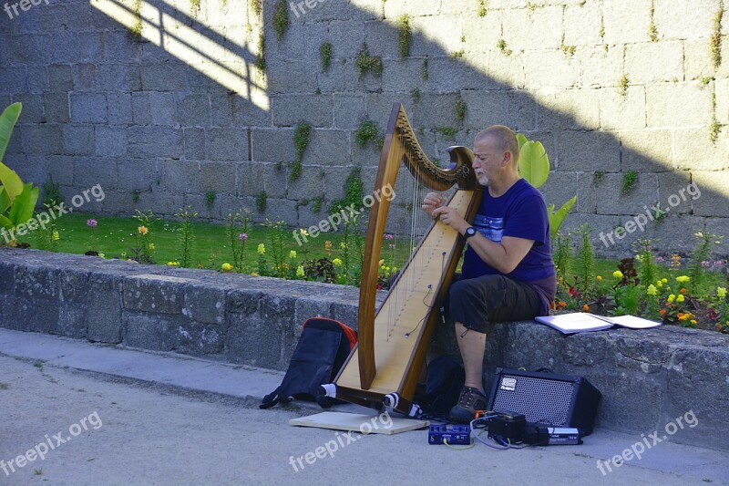 Musician Music Harp Concert Artist