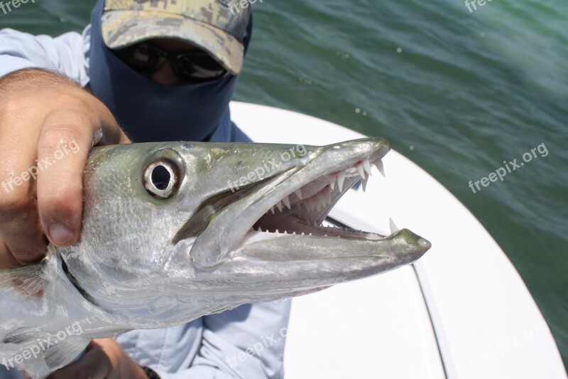 Key West Florida Fishing Angling Barracuda