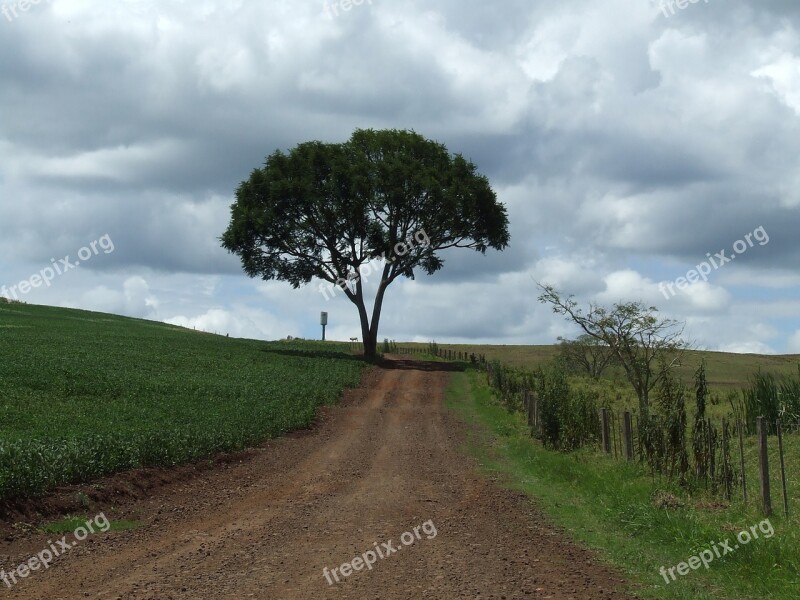 Tree Road Landscape Path Farm