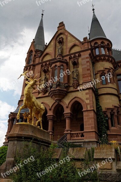 Drachenfels Castle Rhine Castle Middle Ages Dragon Rock