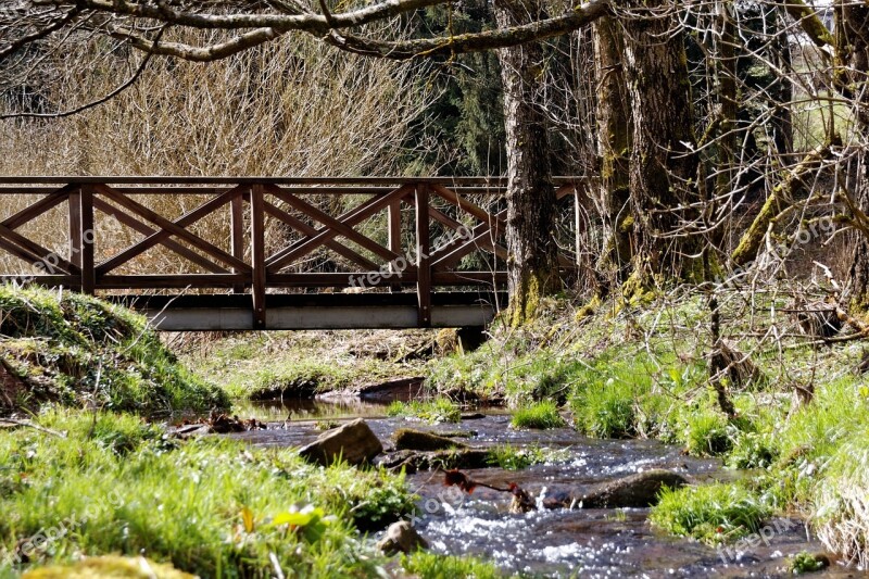 Bach Water Forest Black Forest Bridge