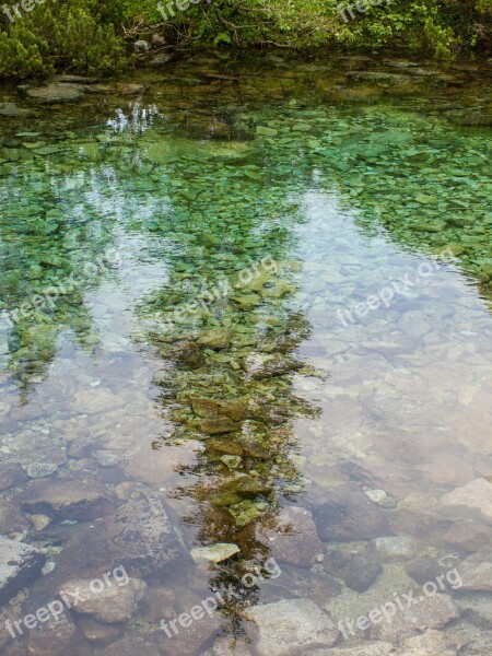 Water Pleso Reflection Mirror Tree