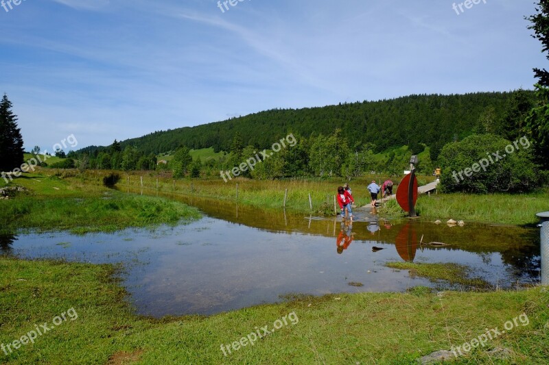 Landscape Jura Lake Redheads Field