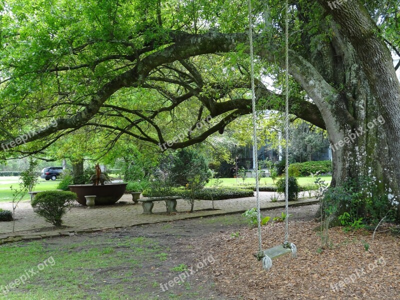 New Orleans Garden Swing Tree Southern