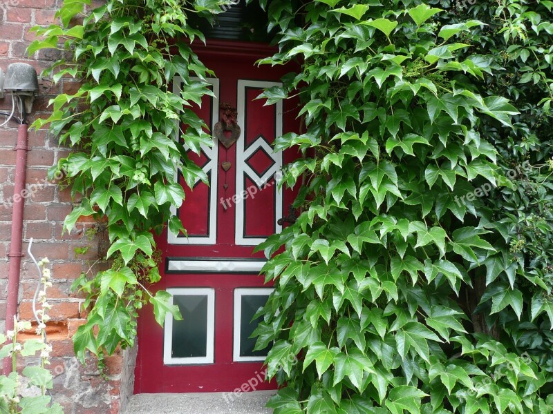 Entrance Door Ivy Green Red Home