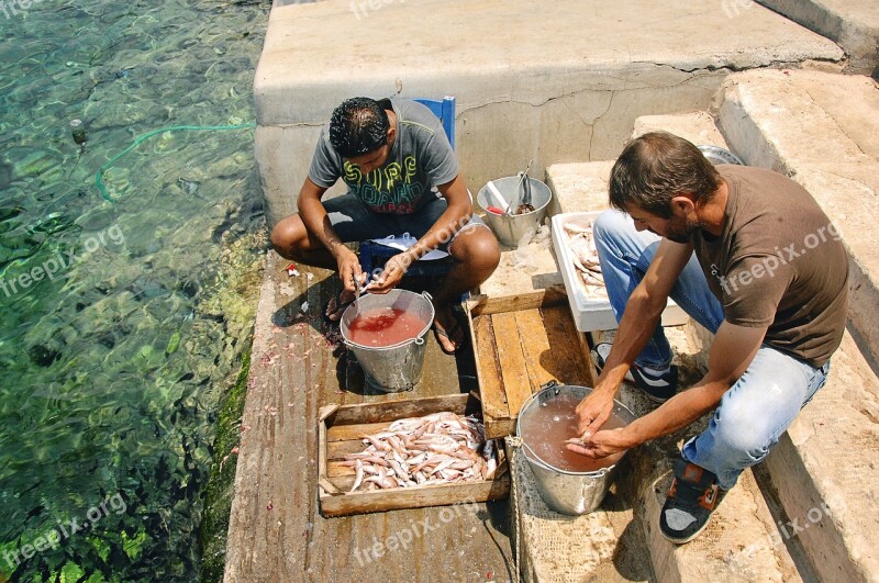 Fishermen Fish Seafood Catch Fisherman