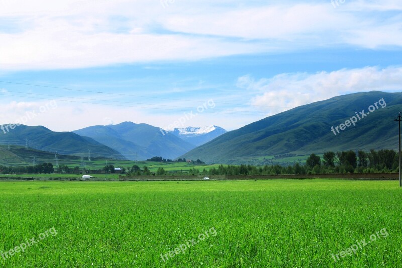 Views Summer Blue Sky Alpine The Sichuan-tibet