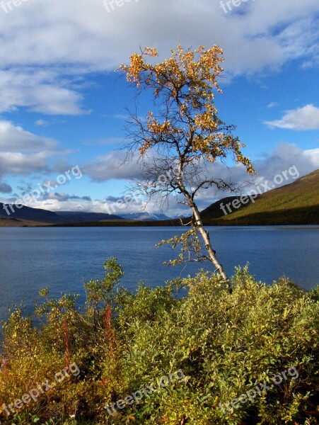 Lapland Finnish Nature Autumn The Lapland