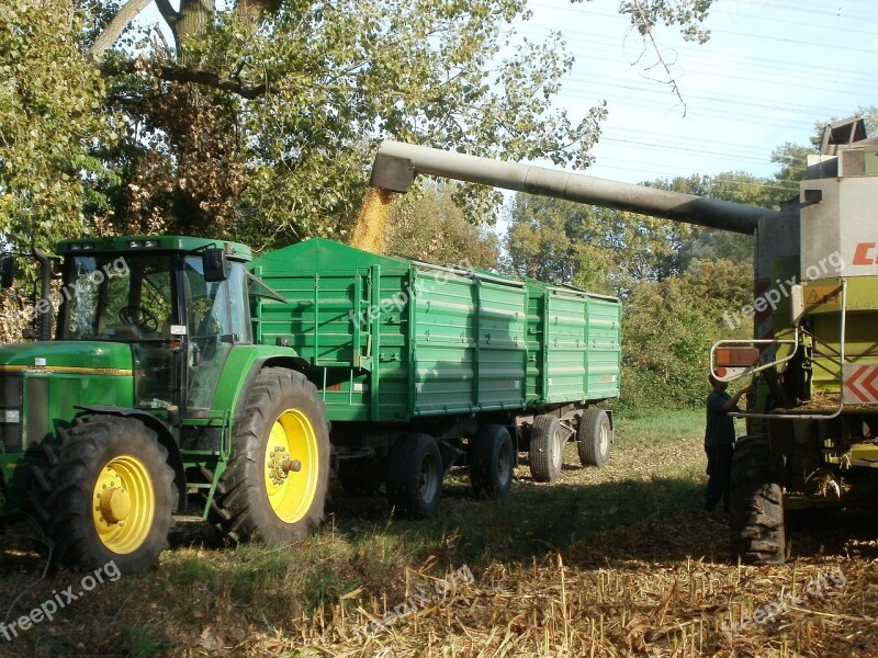 Corn Harvest Rheinhausen Agriculture Fields