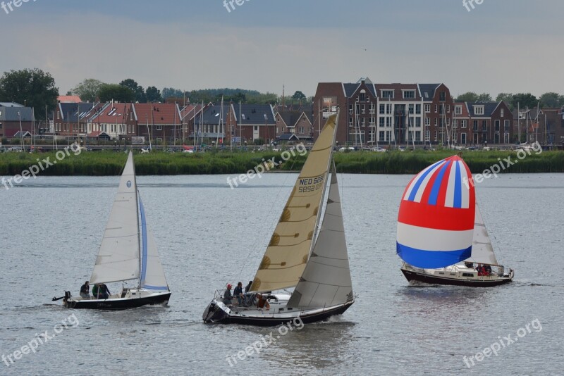 Sailing Boat Sailing Flag Dutch Flag Water