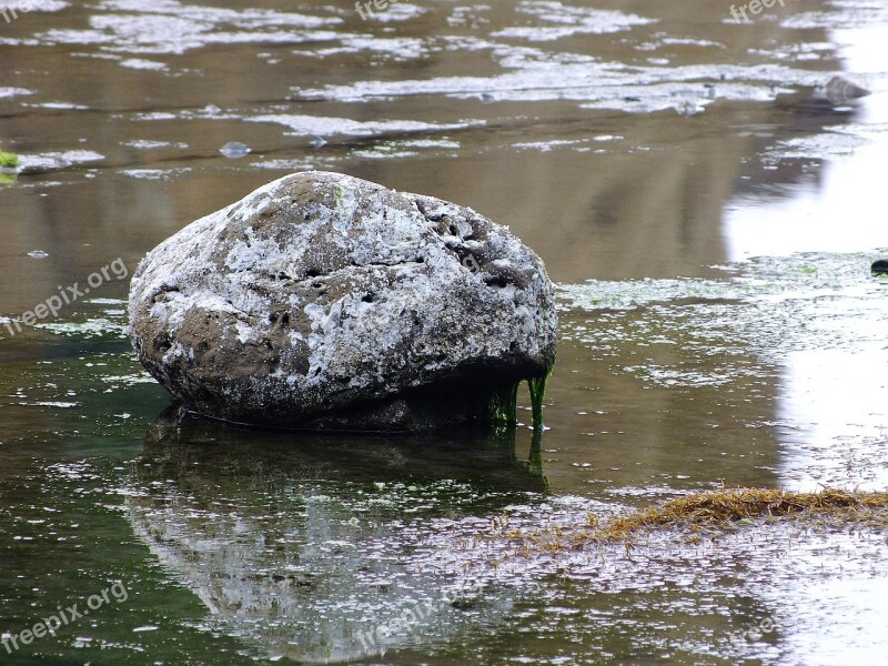 Stone Hai Bian Sea Water Seaweed We Cool