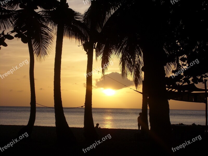 Beach Sunset Guadeloupe Palm Sea