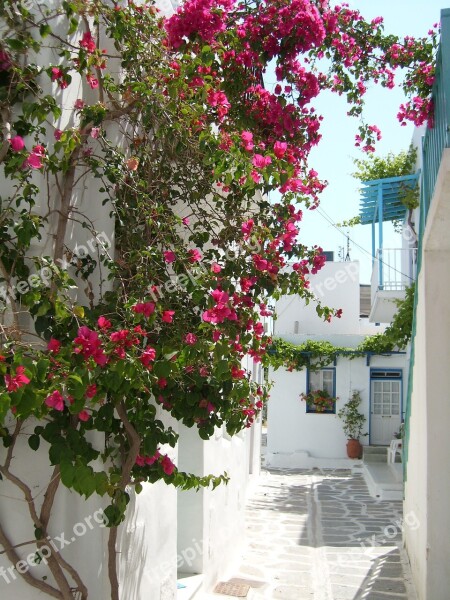 Greece Cyclades Lane Holiday Travel