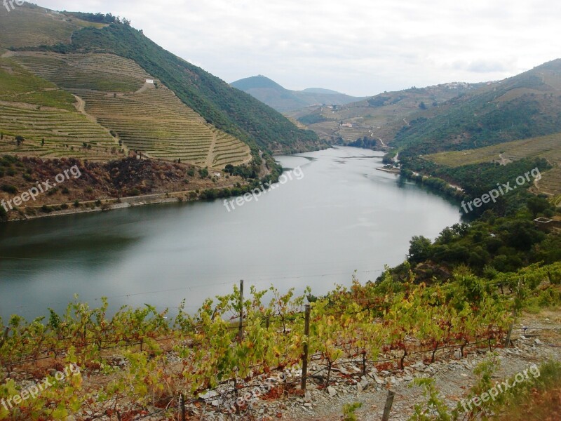 River Douro Douro Vineyards Douro Landscape Free Photos