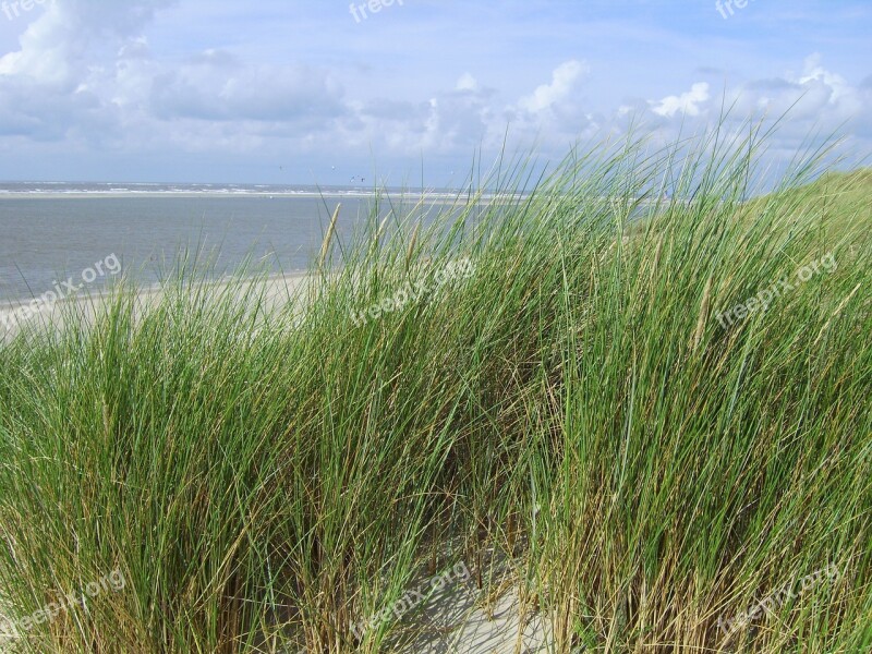 Sand Beach Sand Sea Langeoog North Sea