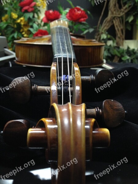 Violin Music Instrument Free Photos