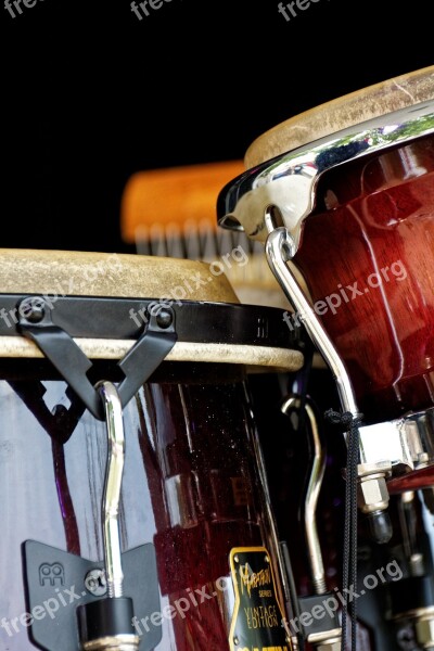 Bongos Drums Instrument Musical Instrument Detail