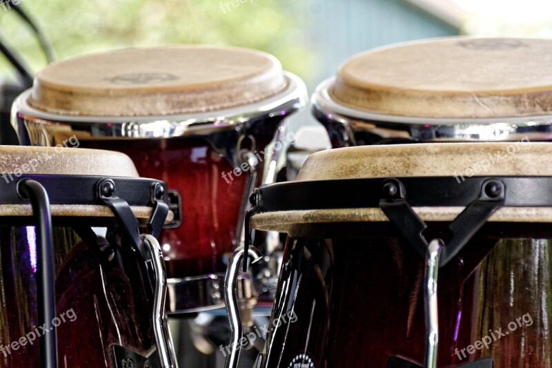 Bongos Drums Instrument Musical Instrument Detail