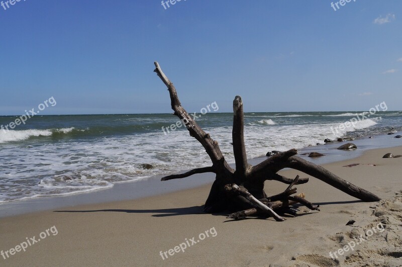 The Baltic Sea Water Beach Nature The Waves