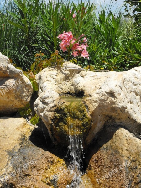 Garden Fountain Water Park Nature