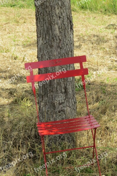 Chair Tree W Rest Atmosphere