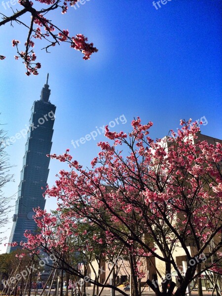 Taiwan Taipei Architecture 101 Spring