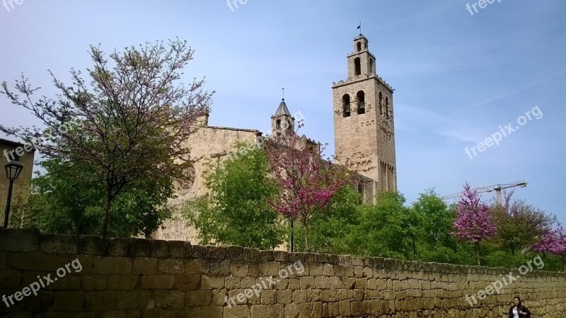 Monastery Tapia Of The Monastery Blooming Trees Lilac Trees Free Photos