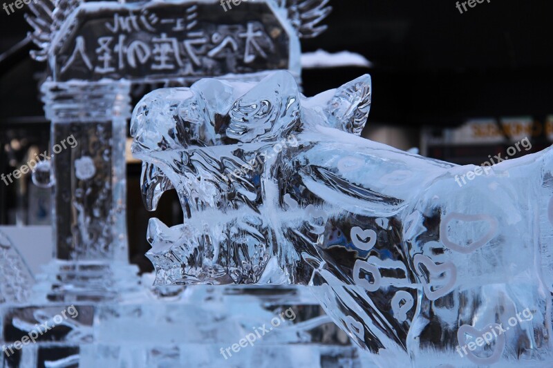 Ice Carving Ice Art Sculpture Amazing Beautiful