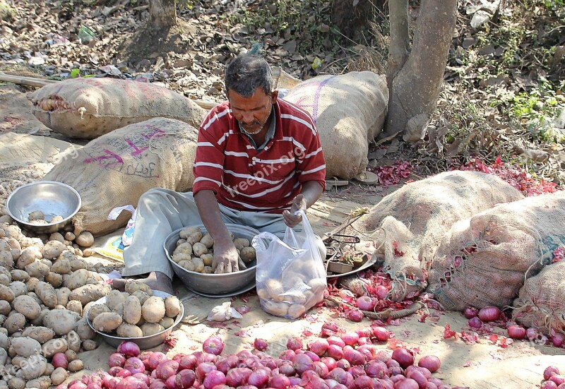 Indian Street Vendor Bazaar Selling Rural Market Market