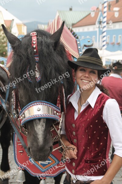 Ross Day Waldkirchen Woman Brewery Horse Free Photos