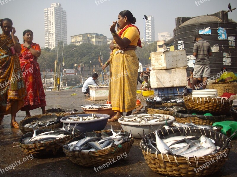 Fish Auction Docks Sassoon Mumbai