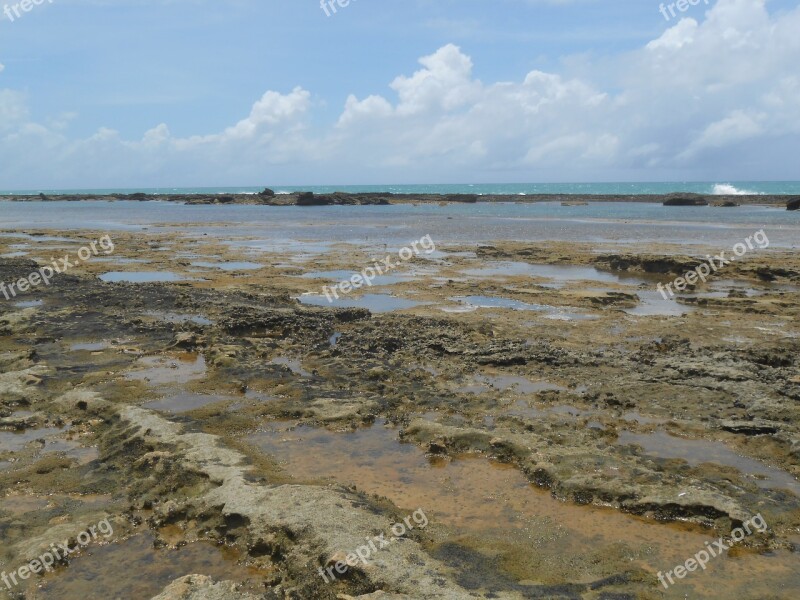 Coral Reef Stones Beach Free Photos