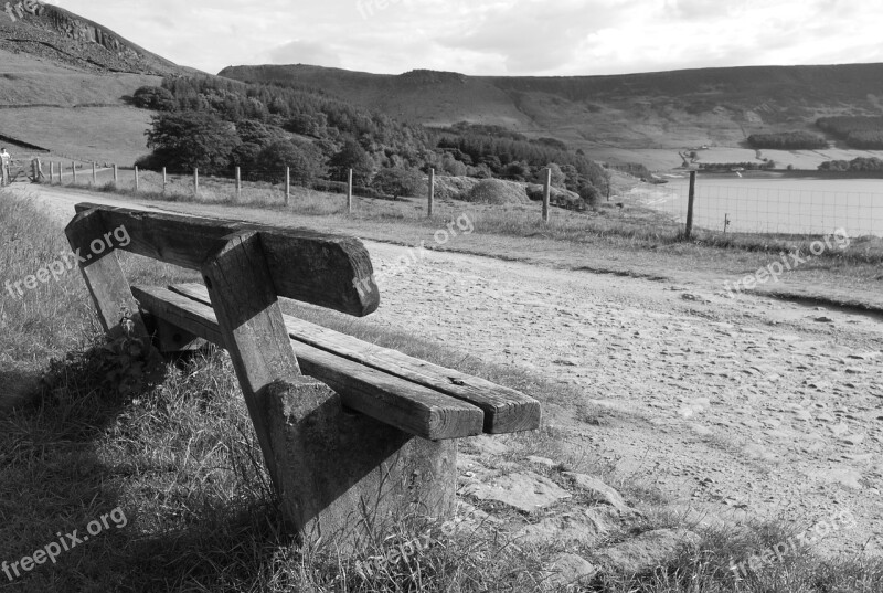 Bench Black And White Wood Grass Path