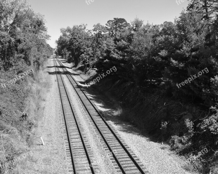 Train Tracks Outdoors Trees Railway Free Photos