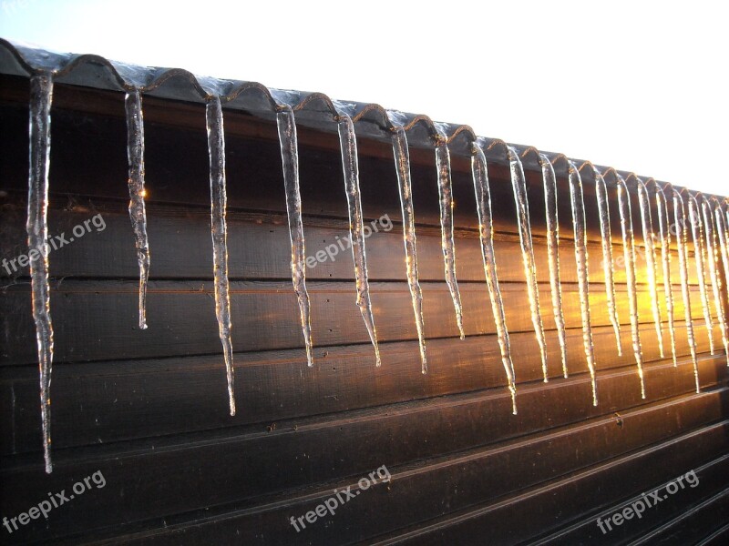 Icicles Ice Sunset Winter Nature