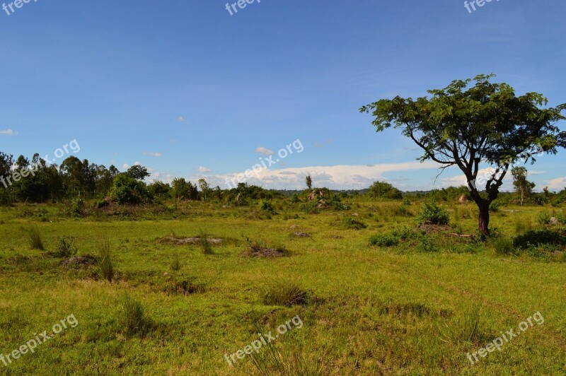 Africa Steppe Uganda Land Savanne