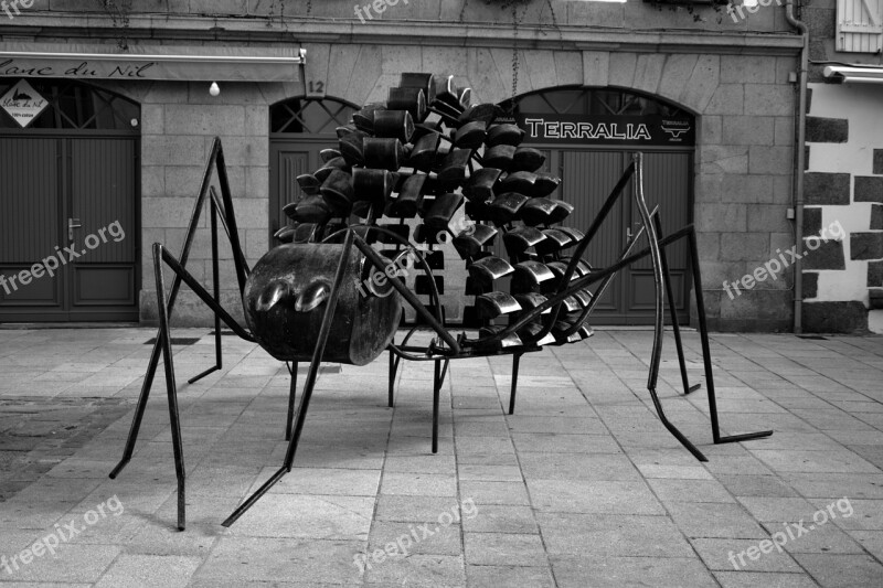 Sculpture Ant Metal Art Sculpture Metal