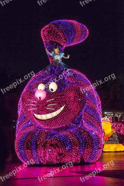 Cheshire Cat Disney Japan Parade Tokyo