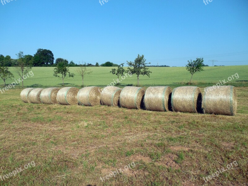 Straw Straw Bales Round Bales Stubble Summer